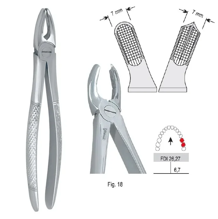 Extraktionstång European pattern fig. 18