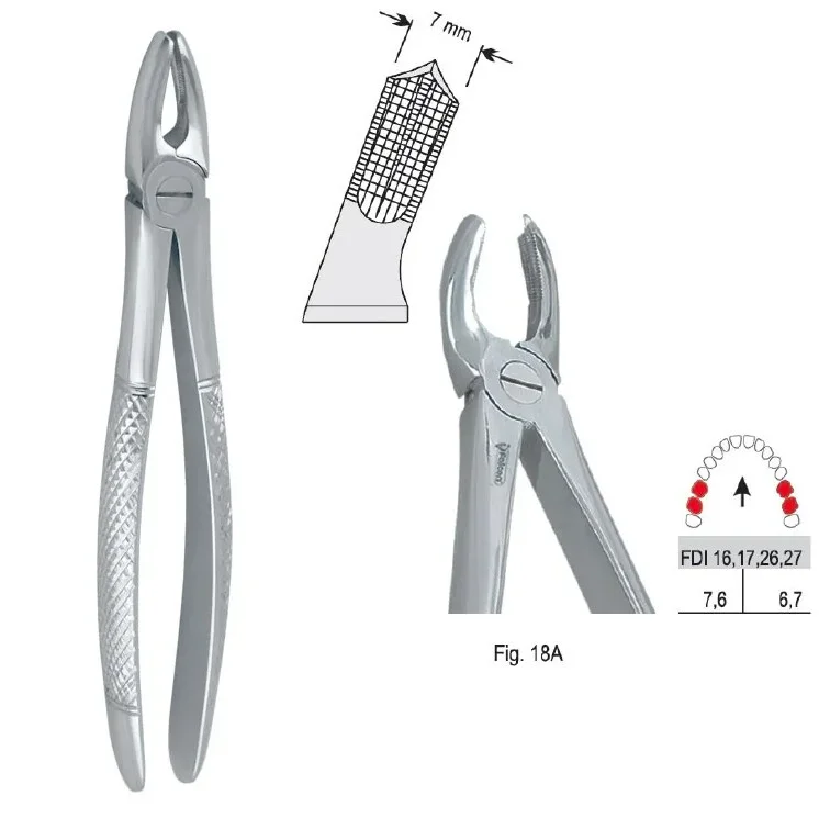 Extraktionstång European pattern fig. 18A