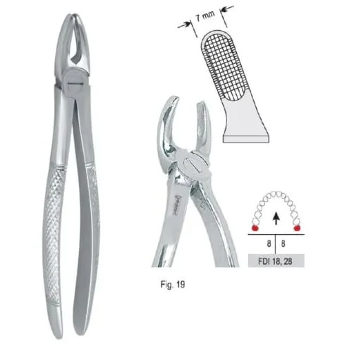 Extraktionstång European pattern fig. 19
