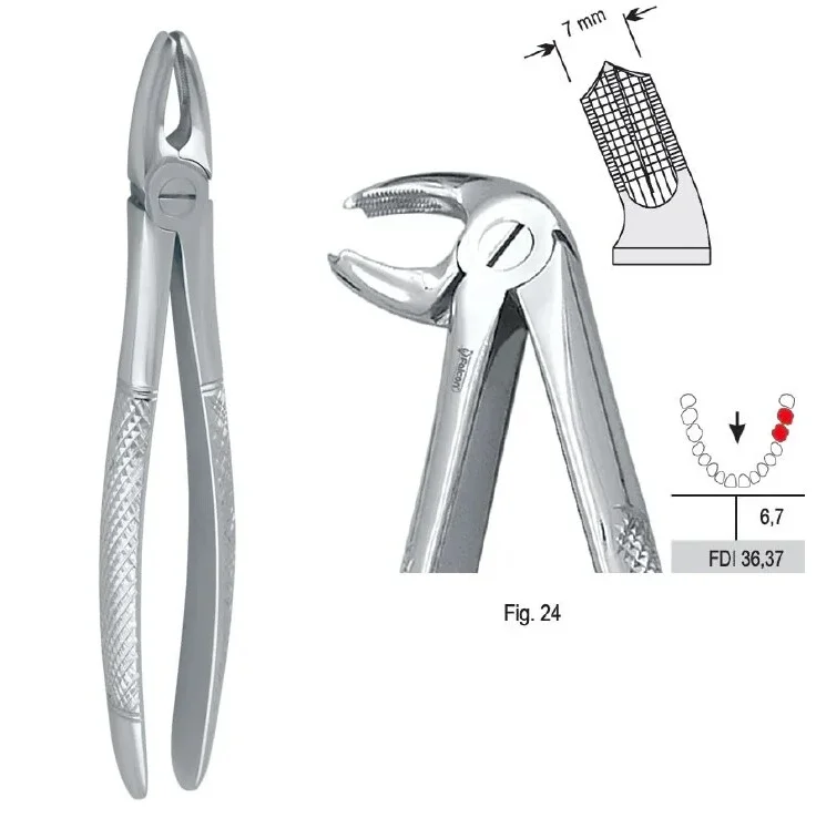 Extraktionstång European pattern fig. 24