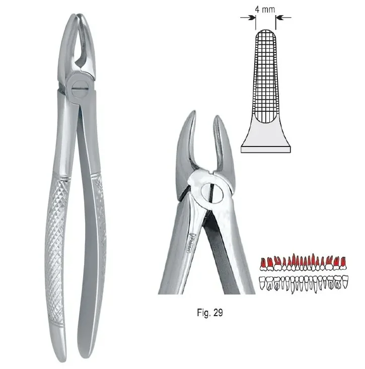 Extraktionstång European pattern fig. 29