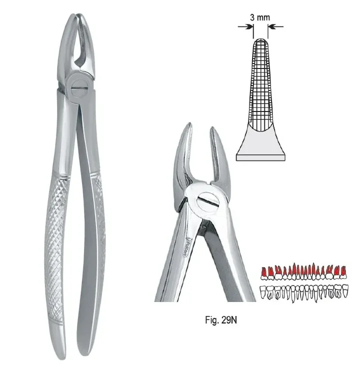 Extraktionstång European pattern fig. 29N
