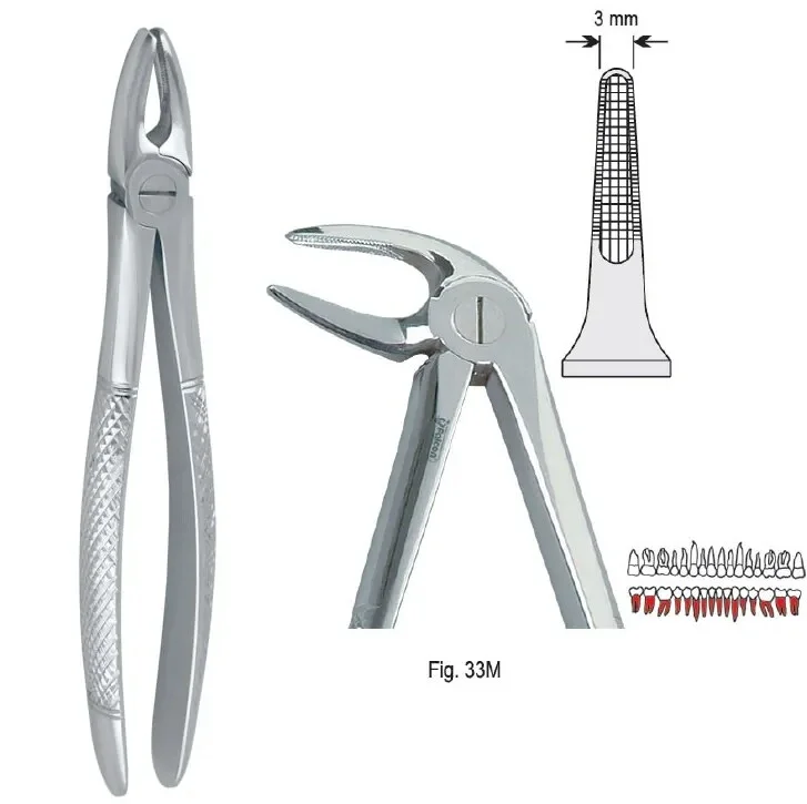 Extraktionstång European pattern fig. 33M