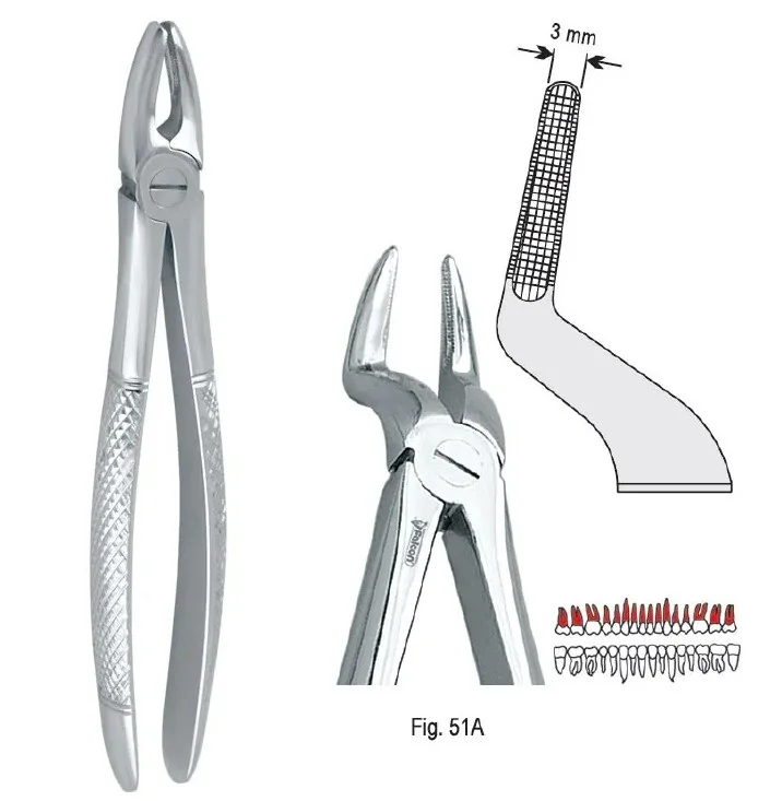 Extraktionstång European pattern fig. 51A