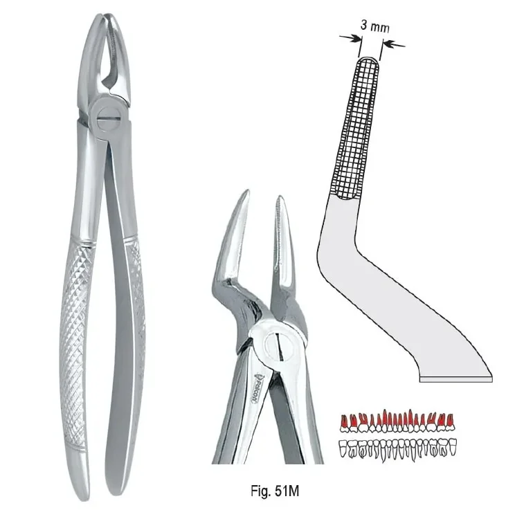 Extraktionstång European pattern fig. 51M