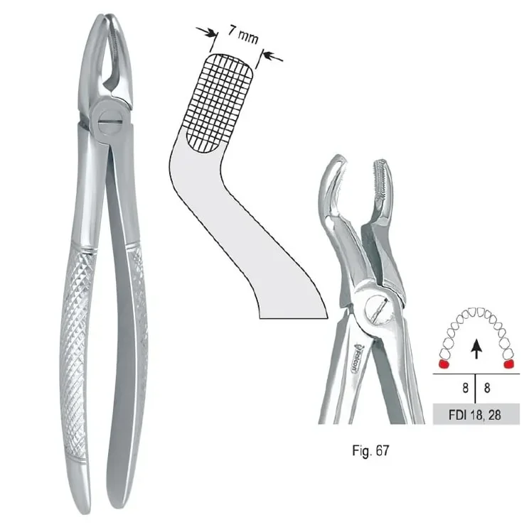 Extraktionstång European pattern fig. 67