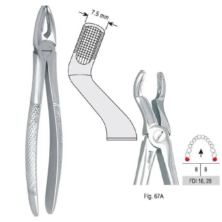 Extraktionstång European pattern fig. 67A