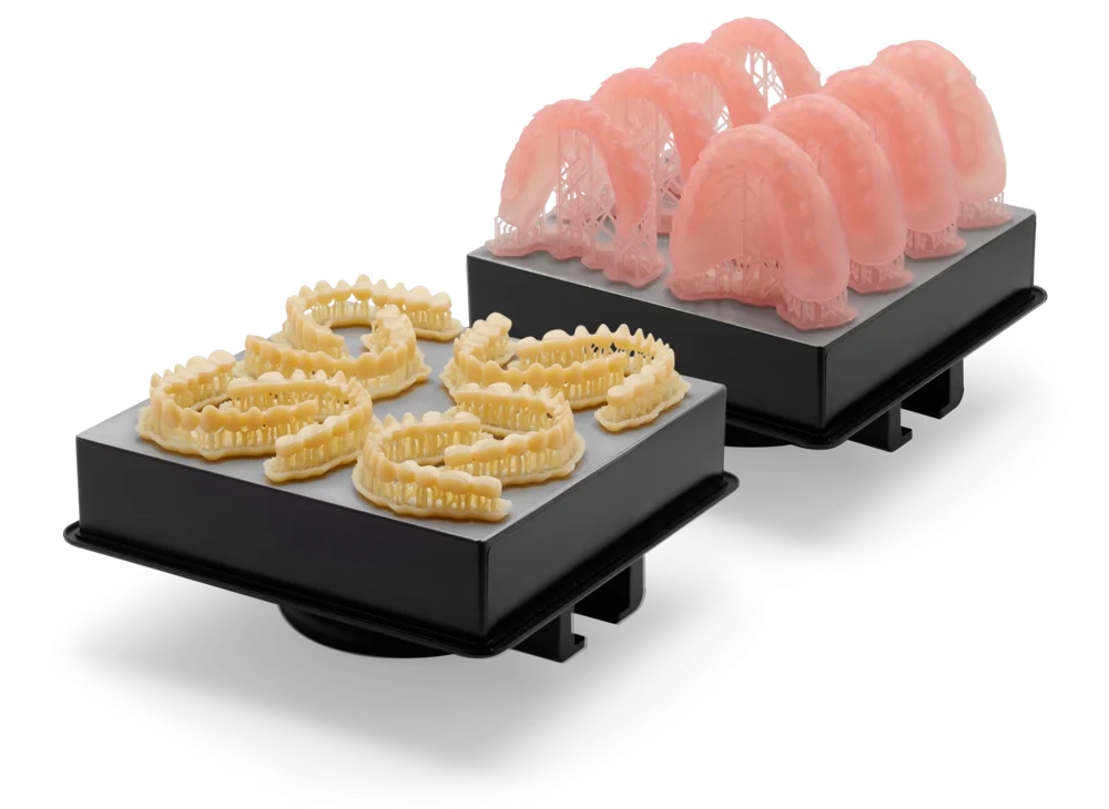 Denture Teeth B2 (EU, USA & CA only)