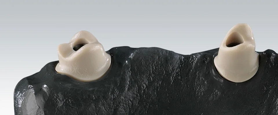 Ceramill PEEK Natural 98x20