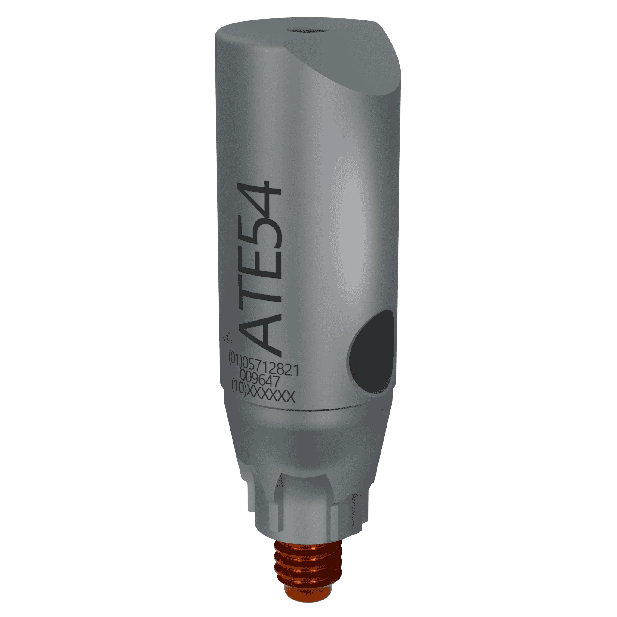 Elos Accurate ScanBody22 - Astra Tech Implant System EV 5.4