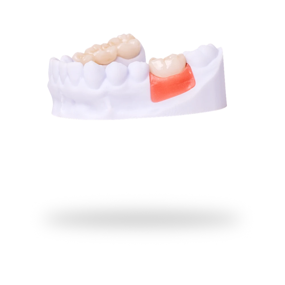 Detax FREEPRINT gingiva