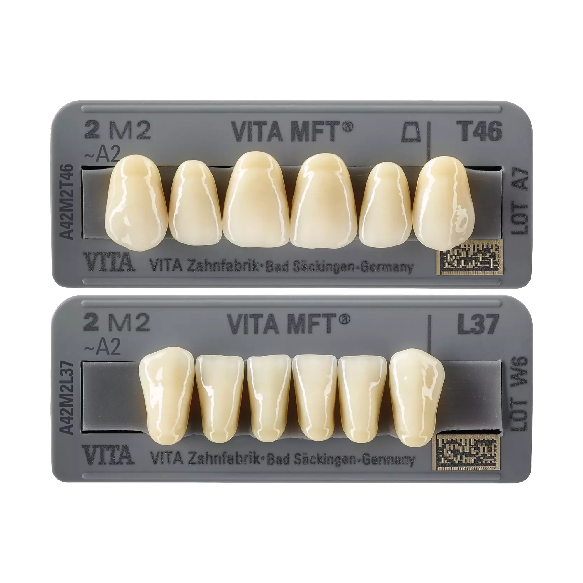 VITA MFT classic incisiver