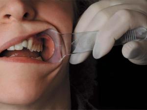 Mirahold munvinkelhållare, vuxen, 2 st