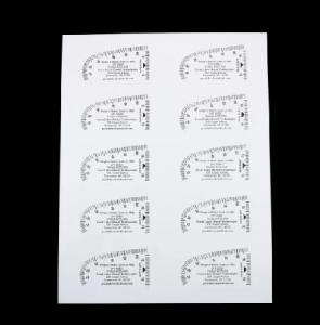 Range of Motion Scale, 100 st