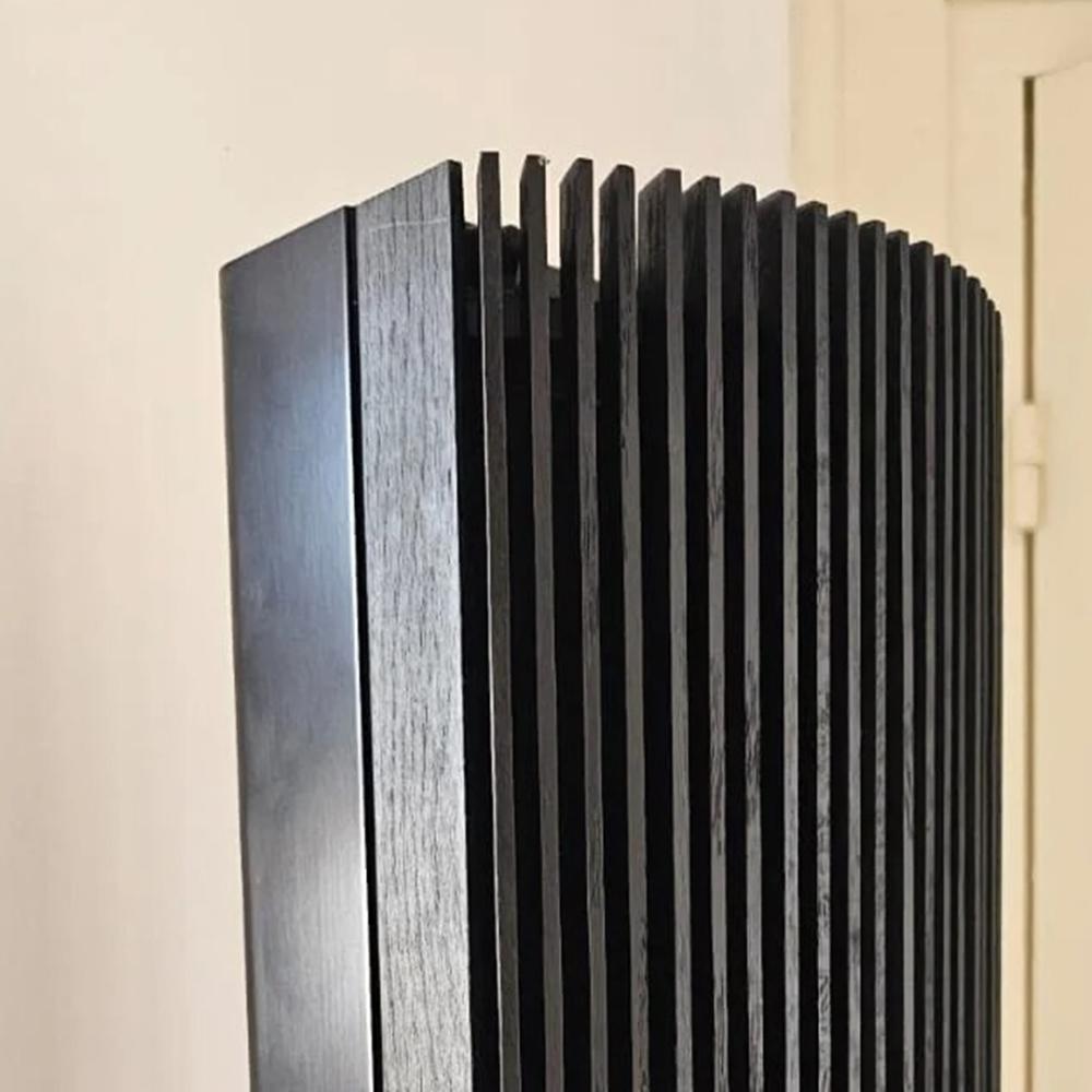 Beolab 1 - Puukansi, tumma tammi