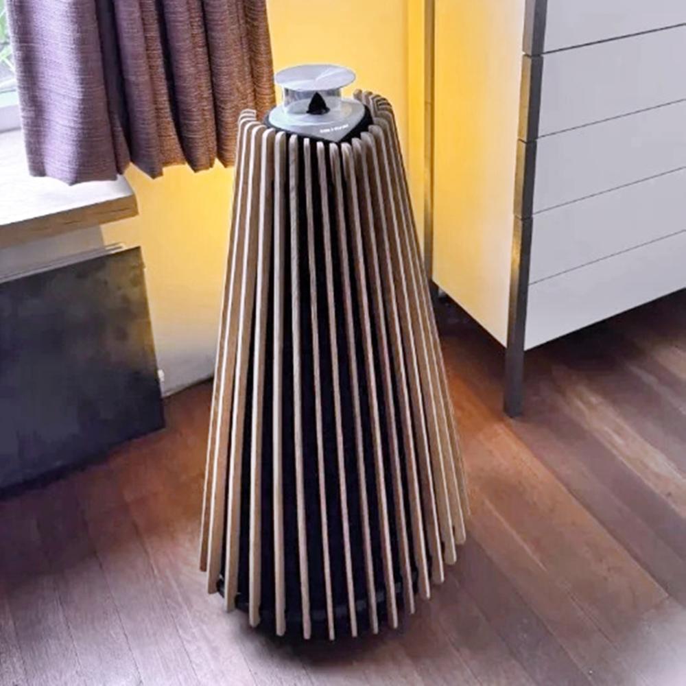 BeoLab 20 tammi, puinen kansi.