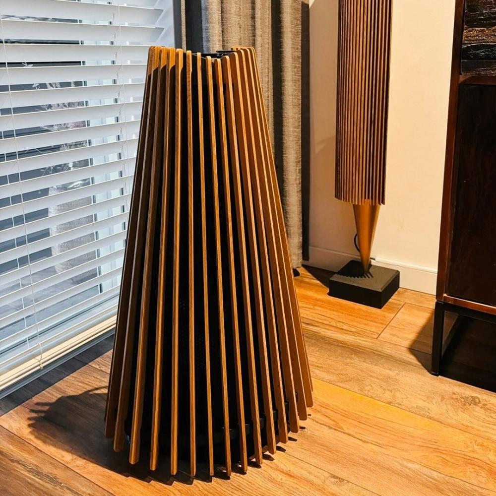 BeoLab 20 öljytty tammipuinen kansi