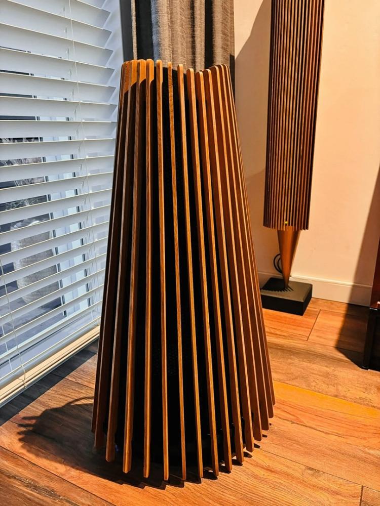 BeoLab 20 öljytty tammipuinen kansi