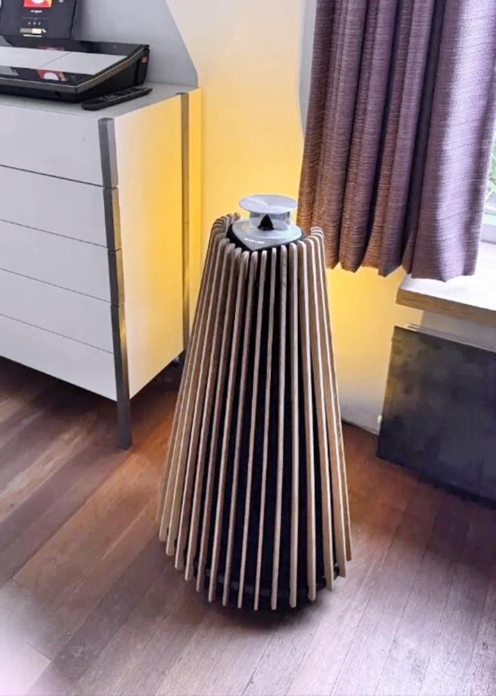 BeoLab 20 tammi, puinen kansi.