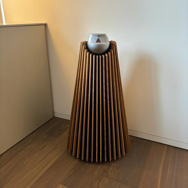 BeoLab 9 Träöverdrag Oljad Ek