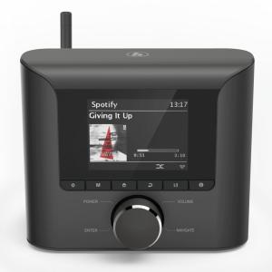 Multiroom Audio Adapter till B&O Stereo - DAB - WiFi 6
