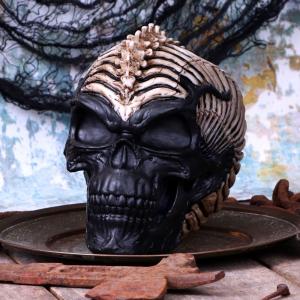 Döskalle Dekoration Spine Head Skull