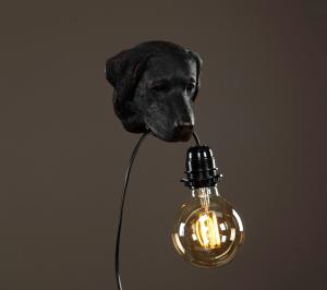 Lampa, Hund Svart/Brun