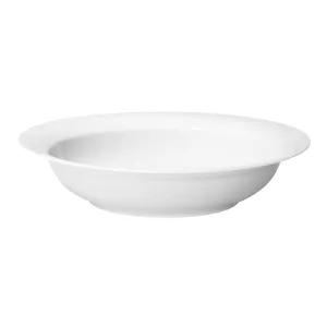 Arctica djup tallrik 24 diameter cm från Arabia.