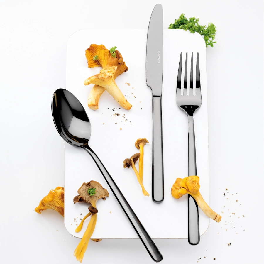 Nardo bestickset med 16 delar i svart från Eternum.