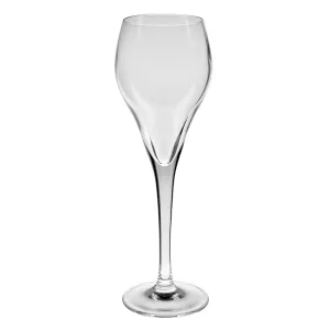 Brio champagneglas 16 cl från Arcoroc, glas för champagne och mousserande drycker.
