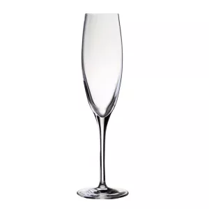 Penelopé champagneglas 17 cl från Stölzle.