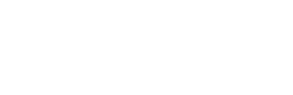 Visa logotyp