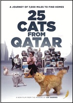 25 Cats From Qatar