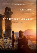 About Dry Grasses