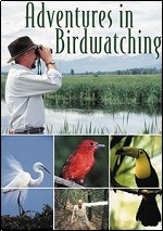Adventures In Birdwatching