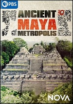 Ancient Maya Metropolis