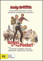 Angel In My Pocket