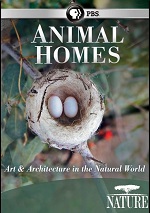 Animal Homes