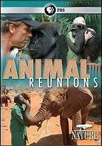 Animal Reunions