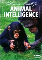 Animal Intelligence