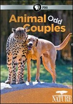 Animal Odd Couples