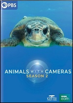Animals With Cameras - Season 2
