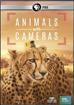 Animals With Cameras