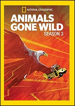 Animals Gone Wild - Season 3