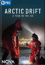Arctic Drift