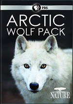 Arctic Wolf Pack