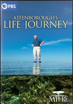 Attenborough's Life Journey