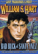 Bad Buck Of Santa Ynez