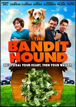 Bandit Hound