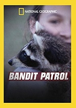Bandit Patrol